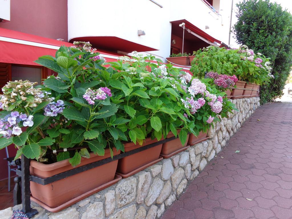 Apartmani Adrijan Krk Крк Екстер'єр фото